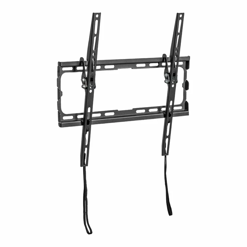 Tilting and Swiveling Mount